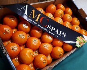 В Испании представили самый сладкий сорт мандаринов в мире