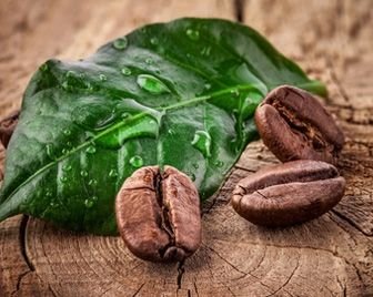 В Коста-Рике могут снять 30-летний запрет на производство робусты