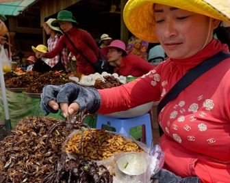 Популярная камбоджийская закуска из жареных тарантулов находится под угрозой исчезновения