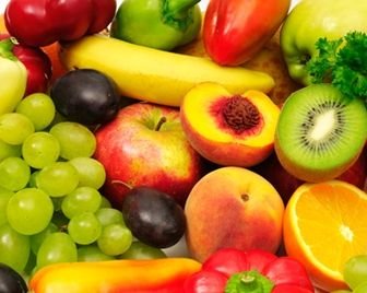 Во Франции запретили использовать «мясные» термины в названиях вегетарианских блюд