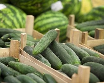 В Германии появятся роботы для уборки огурцов