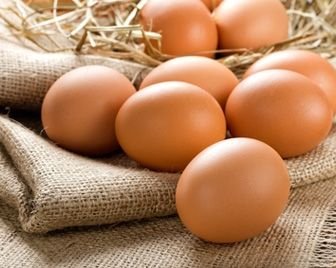 Употребление яиц полезно для развития мозга детей