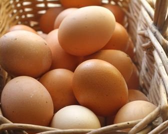 Яйца признали полезными для здоровья сердца