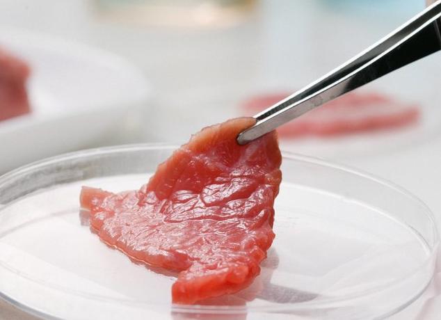 60% веганов готовы съесть искусственное мясо