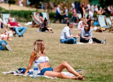 Ученые прогнозируют исчезновение шоколада к 2050 году