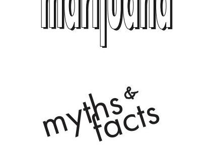 В Коста-Рике могут снять 30-летний запрет на производство робусты