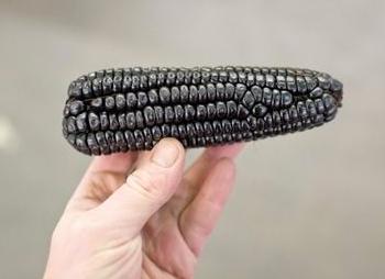 Черные овощи станут трендом в 2018 году